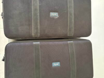 2x Exosquelette JAPET